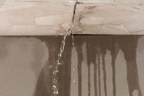 Professional Water Damage Repair technician working in Newcastle, CA